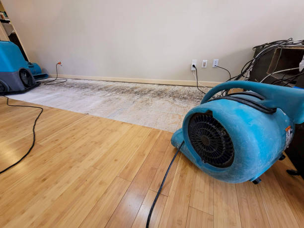 Professional Structural Drying technician working in Hiram, GA